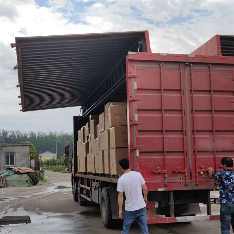 抚宁区扎囊县：物流专线的高效货运之旅