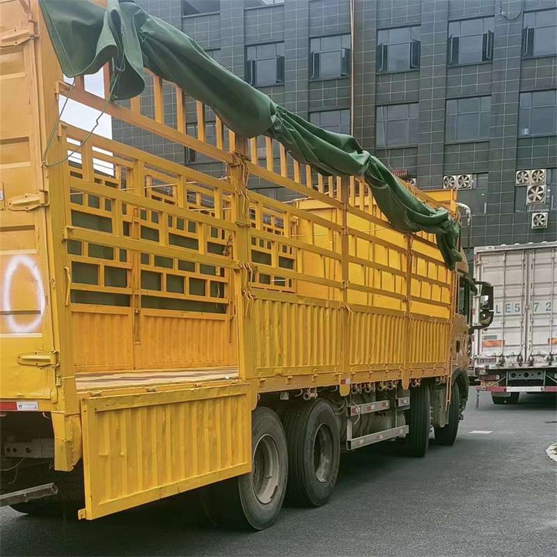 抚宁区兰州市物流运输：多元服务与高效线路探秘